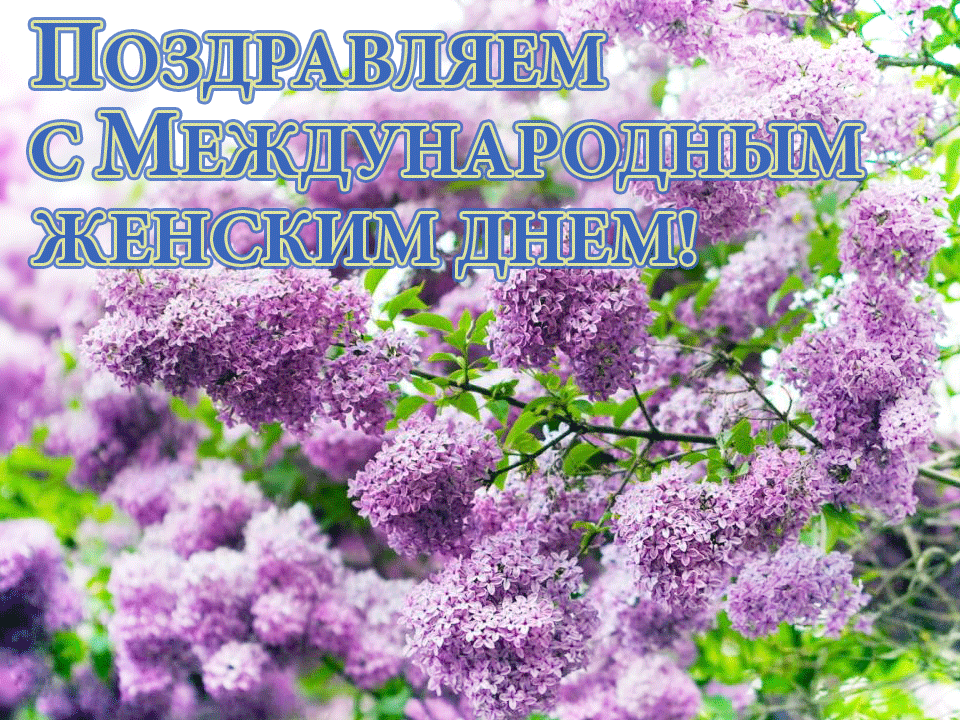 Поздравляем с Международным женским днем! Поздравляем с Международным женским днем!