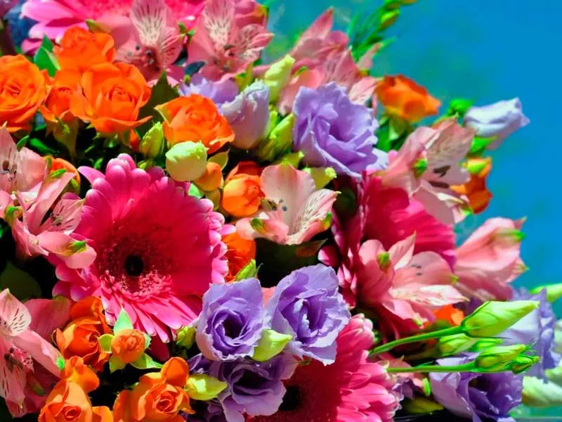 с Международным женским днем! с Международным женским днем!