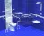52_pic4