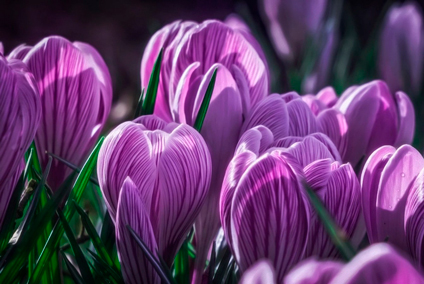 Поздравляем с Международным женским днем!