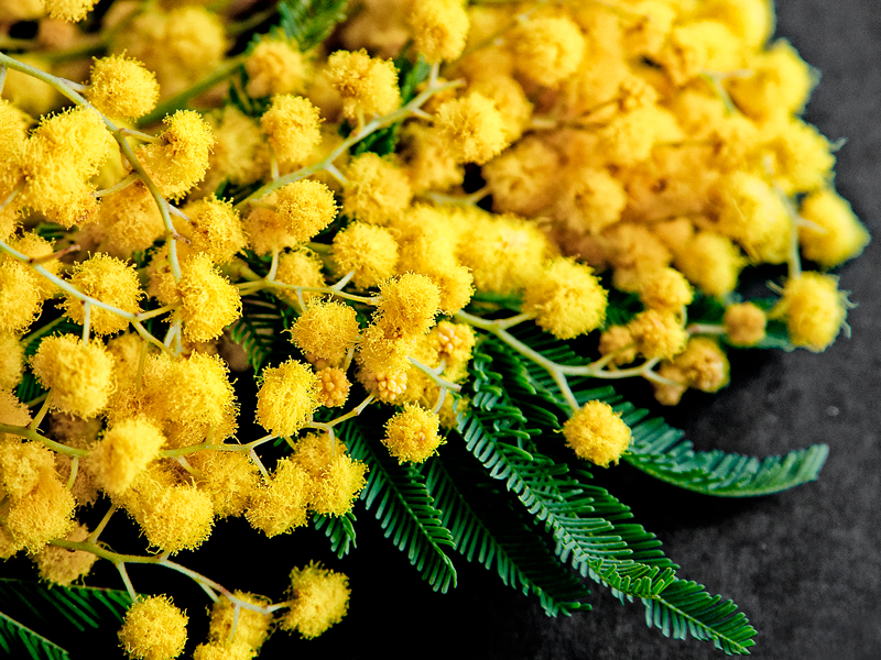 Поздравляем с Международным женским днем!